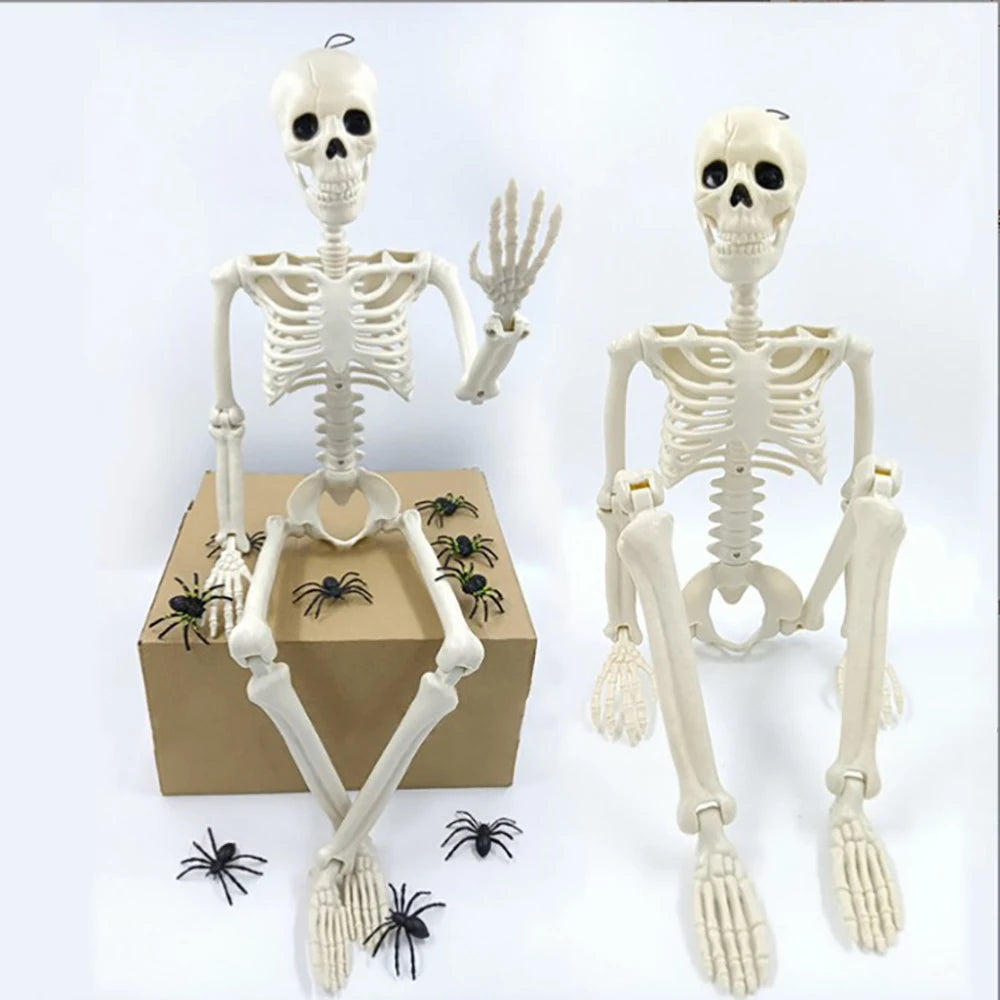 Halloween Decorations Skeleton,Posable Human Shape Skeleton,Halloween Fake Bone Horro alternate view