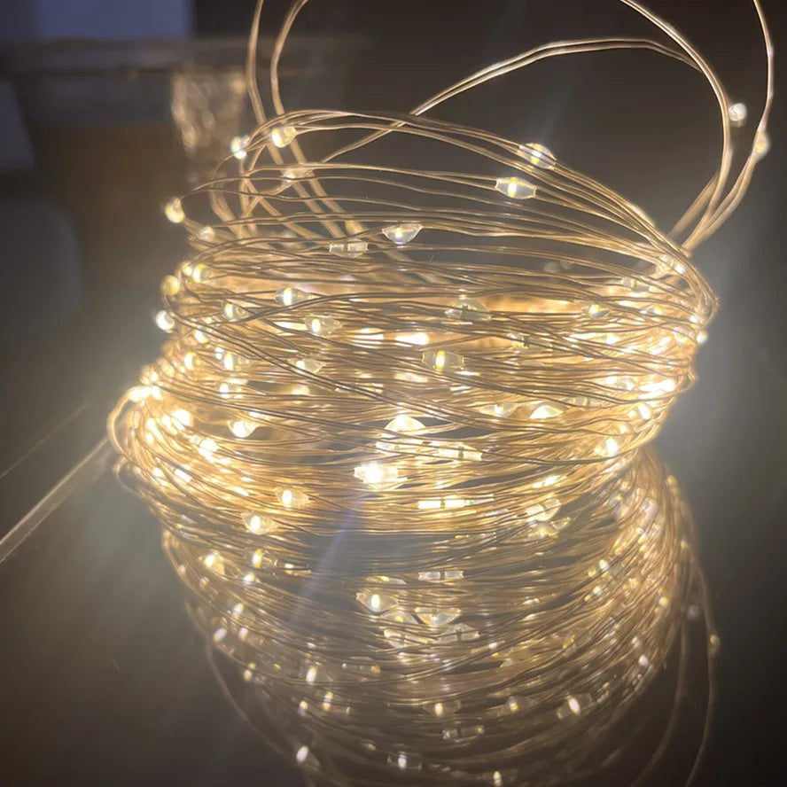5M LED String Lights Waterproof Led Copper Wire Fairy Lights Battery Operated DIY Wedd close-up view