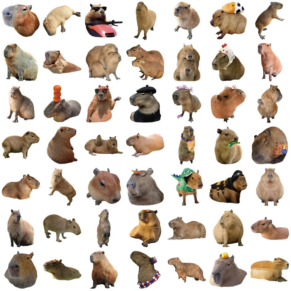 50Pcs Cartoon Capybara Graffiti Stickers | Waterproof Decals for Guitars, Laptops, additional angle
