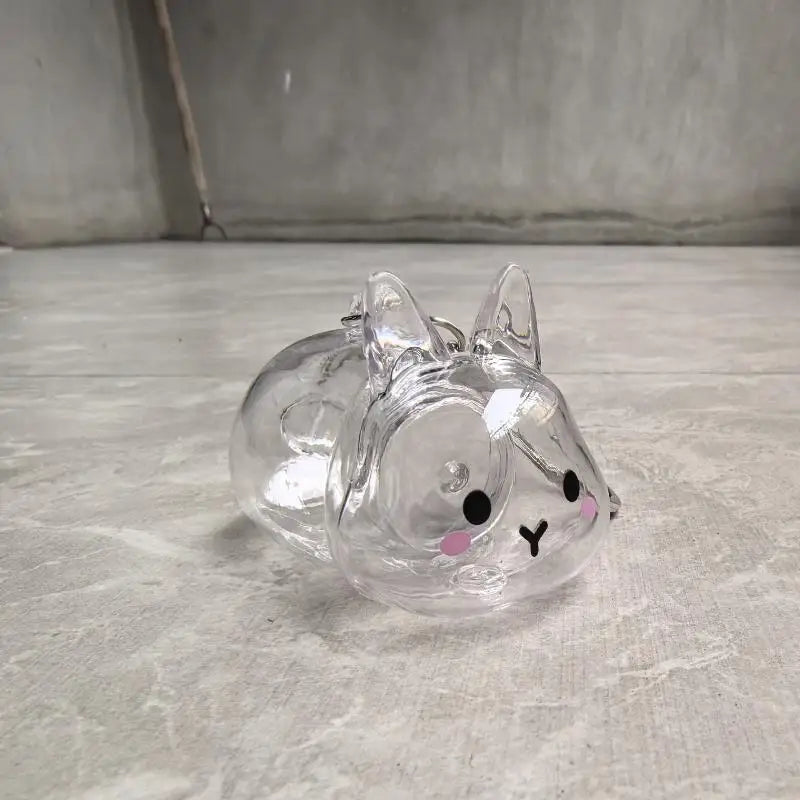Cartoon Pet Hair Memorial Transparent Storage Box Keyring Cute Animal Rabbit Fur Organiz detail view