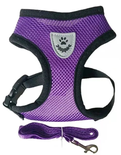 Breathable Mesh Cat Harness and Leash Set | Reflective Soft Vest for Small Cats and Do close-up view