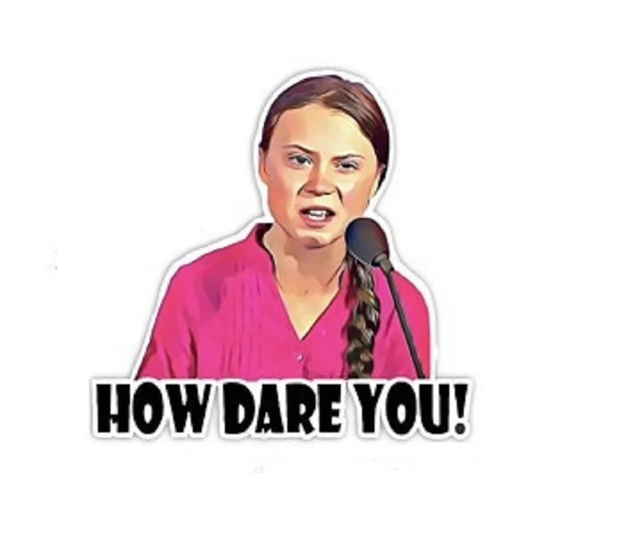 How Dare You Car Sticker | Waterproof Vinyl Decal for Laptop, Car & Wall lifestyle view