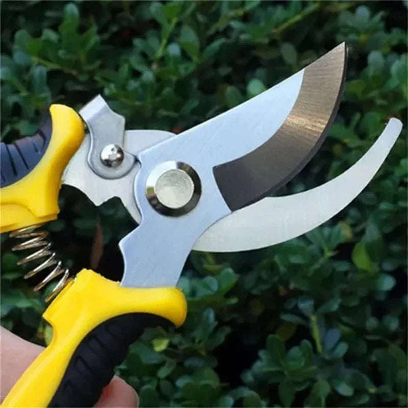 Horticultural Scissors – Bird Beak Shape