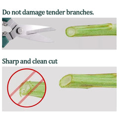 190mm Straight Head Pruning Shears | Stainless Steel Garden Scissors for Bonsai close-up view