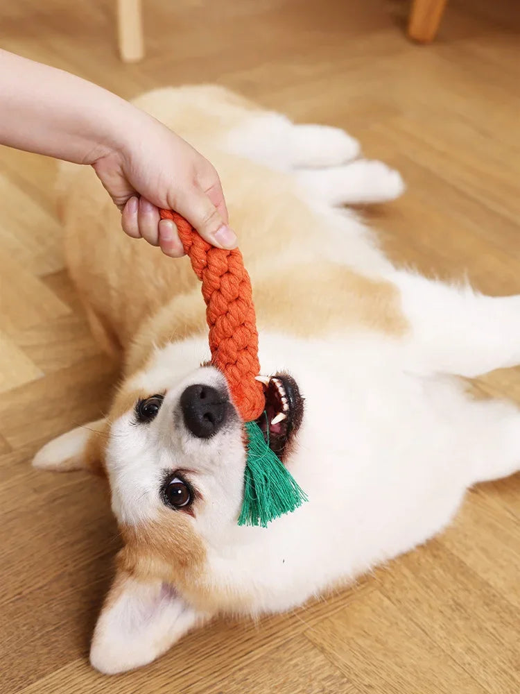 Carrot Cotton Rope Dog Chew Toy Bite Resistant Teeth Cleaning Interactive Play Toy lifestyle view