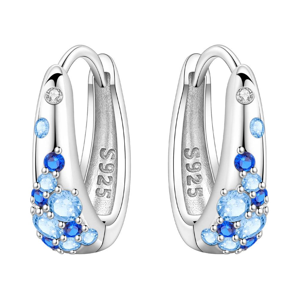 PANPOKI S925 Sterling Silver Purple Zircon Series Earrings Hoop Earrings For Women Je lifestyle view
