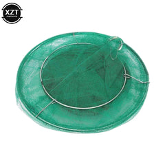Reusable Fly Trap Cage | Outdoor Pest Control close-up view