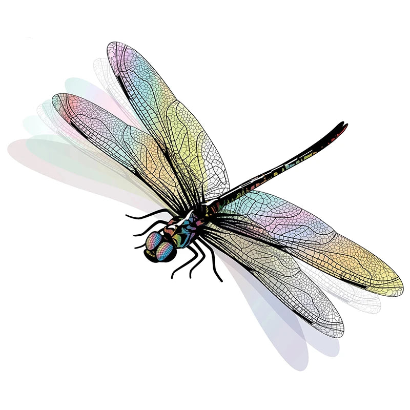 Realistic Dragonfly Wall Sticker | Home Decoration Decals alternate view