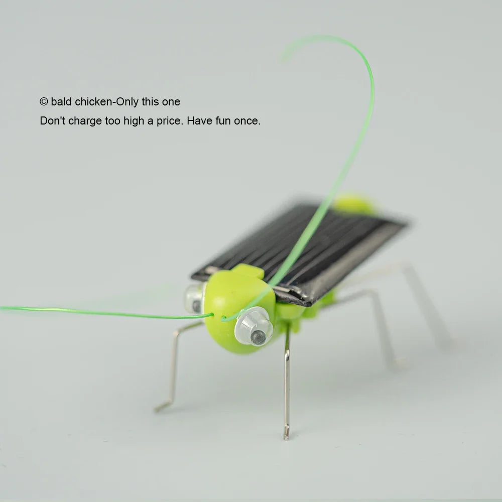 Solar Simulation Insect Grasshopper Toy Puzzle Children Selected Gift Gift Boys And Girl detail view