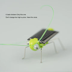 Solar Simulation Insect Grasshopper Toy Puzzle Children Selected Gift Gift Boys And Girl detail view