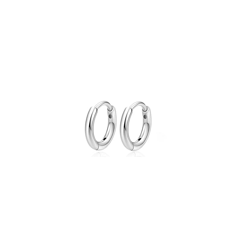 1/6 Pairs Hypoallergenic Screw Back Earrings, Flat Back Earrings Hoops Cat Turtle Cart close-up view