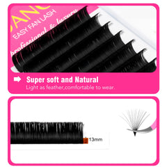 TDANCE Easy Fan Eyelash Extensions | Natural Blooming Faux Mink Individual Lashes close-up view