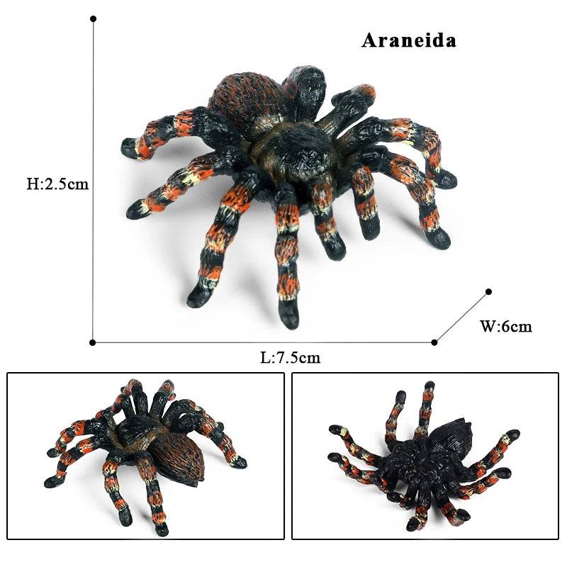 Oenux Insect Animals Model Spider Web Scorpion Bat Action Figures Figurine Miniature Cute Educational Kid Toy Halloween Gift