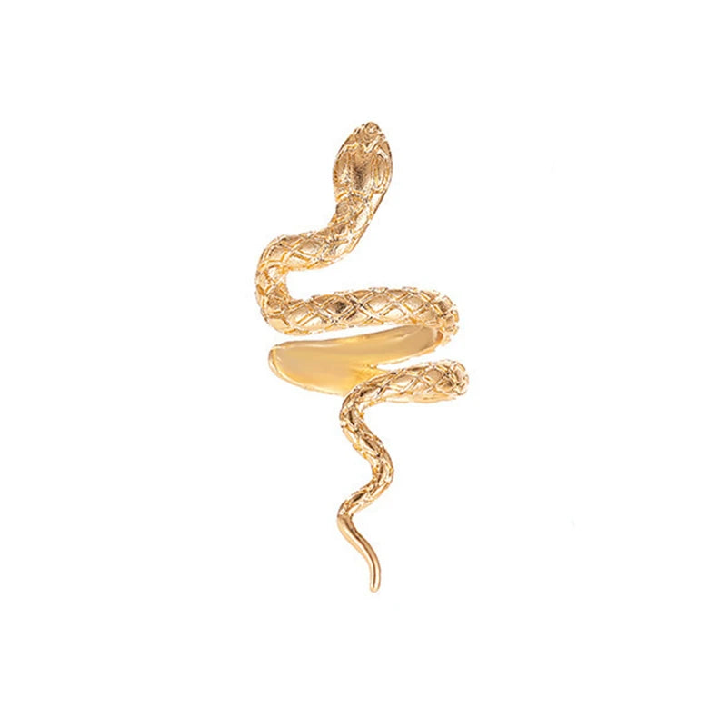 1Pcs Fashion Silver Color Snake Ear Clip Earrings for Women Men Punk Non Piercing Fake close-up view