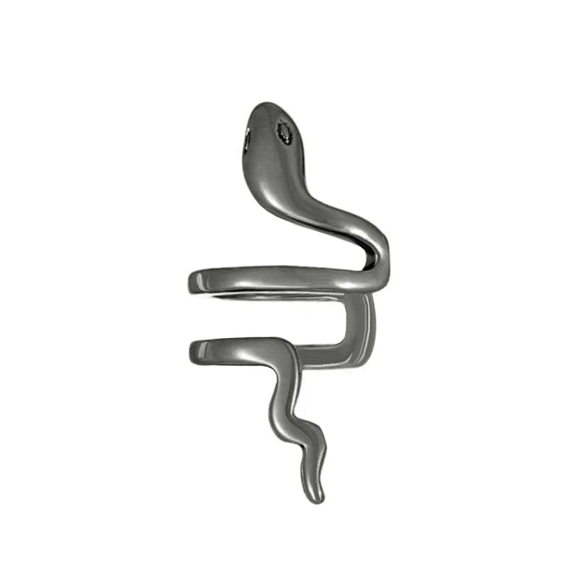 1Pcs Fashion Silver Color Snake Ear Clip Earrings for Women Men Punk Non Piercing Fak lifestyle view