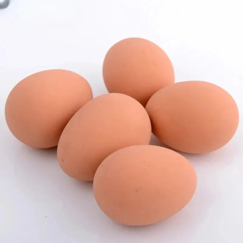 1 Pcs Novelty Bouncy Eggs Realistic Fake Rubber Bouncing BallsModel Farm Chicken Nest lifestyle view