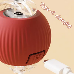 Cat toys are automatically teasing cat balls close-up view