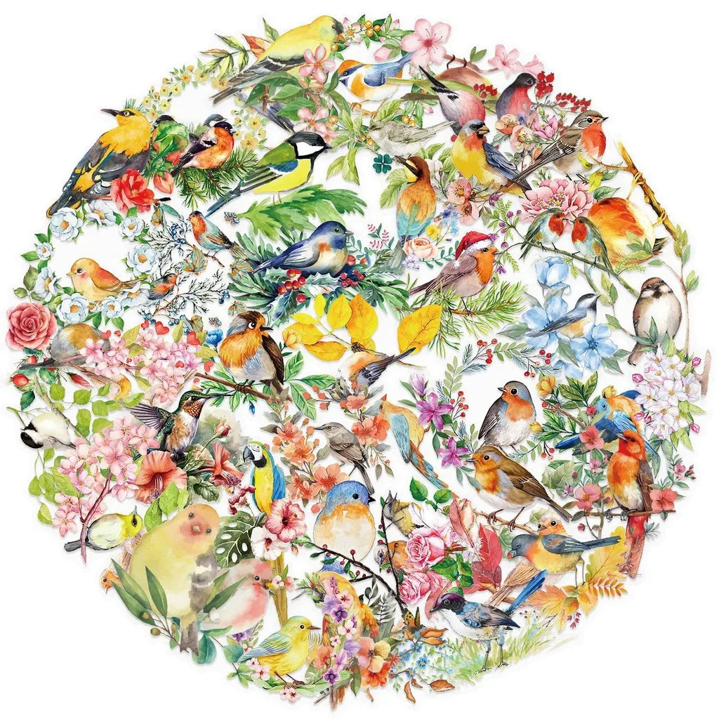 50PCS Transparent INS Watercolor Bird Sticker Pack - Waterproof PET for Scrapbooking, alternate view