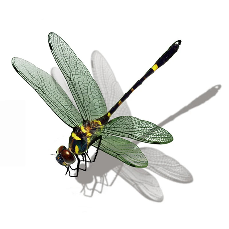Realistic Dragonfly Wall Sticker | Home Decoration Decals lifestyle view