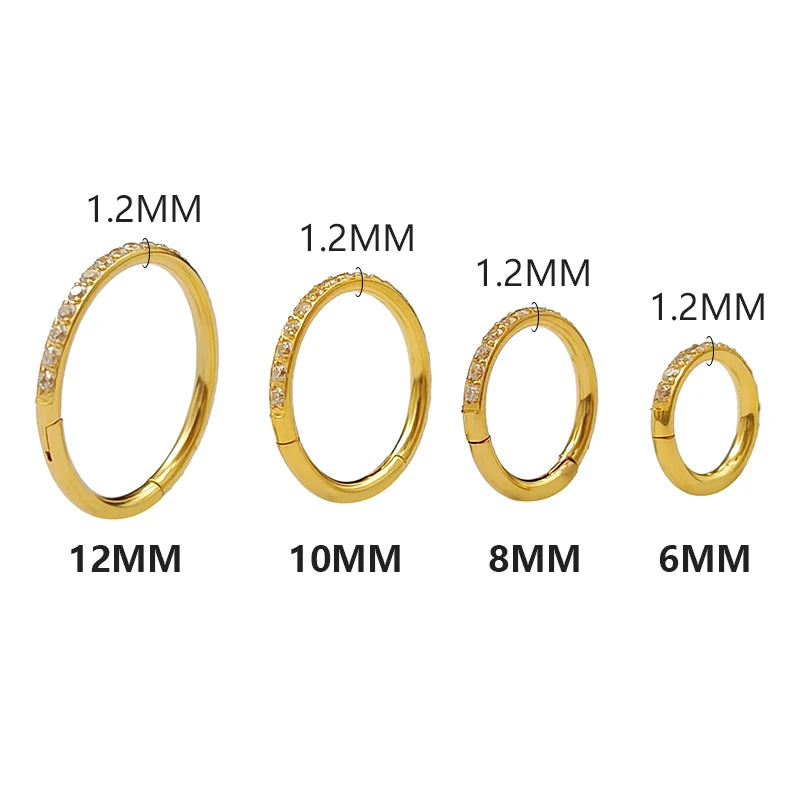 Stainless Steel Nose Ring CZ 16G Hinged Septum Clicker Segment Ear Tragus Cartilage Heli detail view