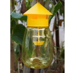 Fruit Fly Trap Killer | Yellow Plastic Drosophila Trap for Orchard and Garden Pest Con close-up view