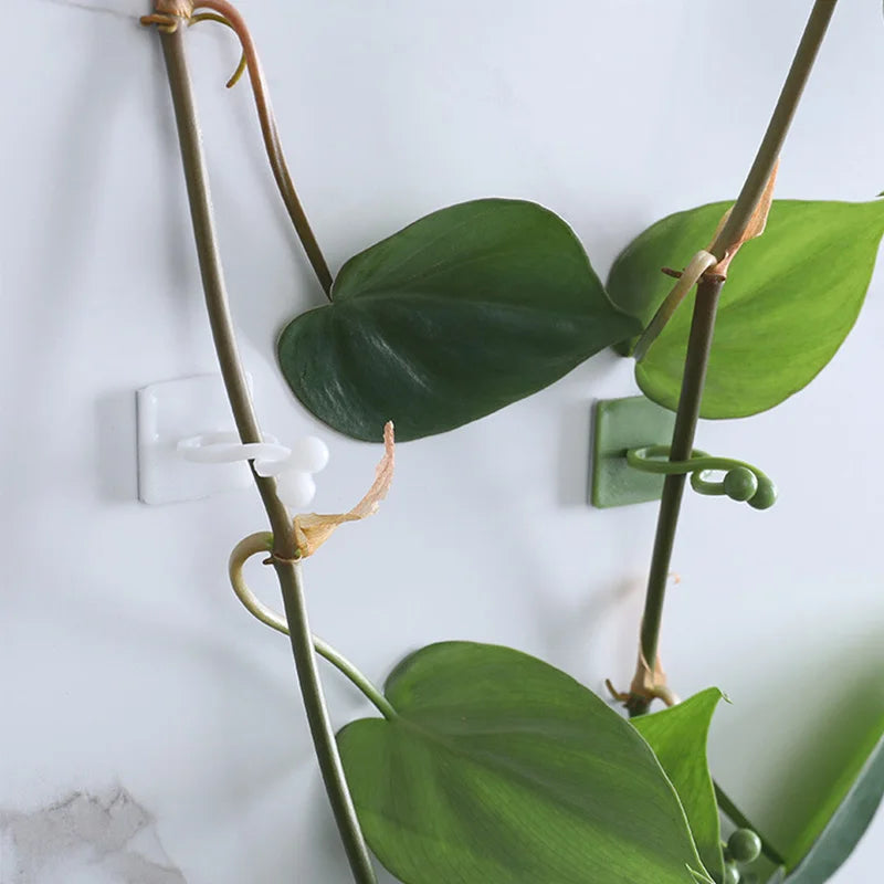 Garden Plant Climbing Wall Fixture Clips Rattan Vine Fixer Self-Adhesive Fixed Buckle alternate view