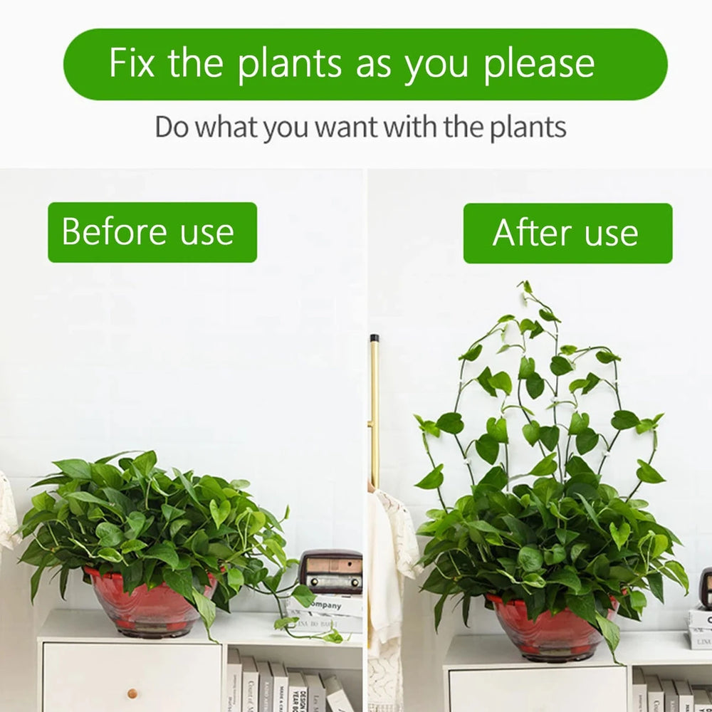 Garden Plant Climbing Wall Fixture Clips Rattan Vine Fixer Self-Adhesive Fixed Buckle lifestyle view