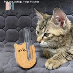Transparent Glass Cat Whisker Jar Pet Hair Holder Refrigerator Magnet Decor Memorial Gif detail view