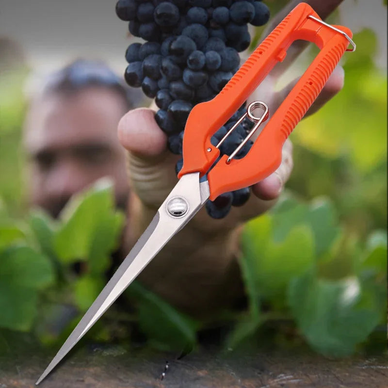Grape Scissors Pruning Shears | Professional Stainless Steel Garden Tool lifestyle view