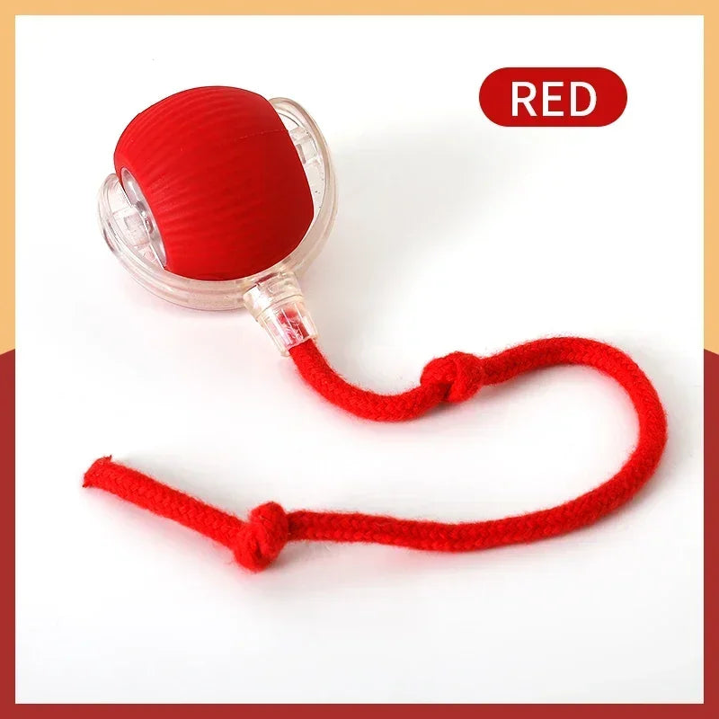 Interactive Cat Ball | Automatic Rolling Toy with Motion Sensors additional angle