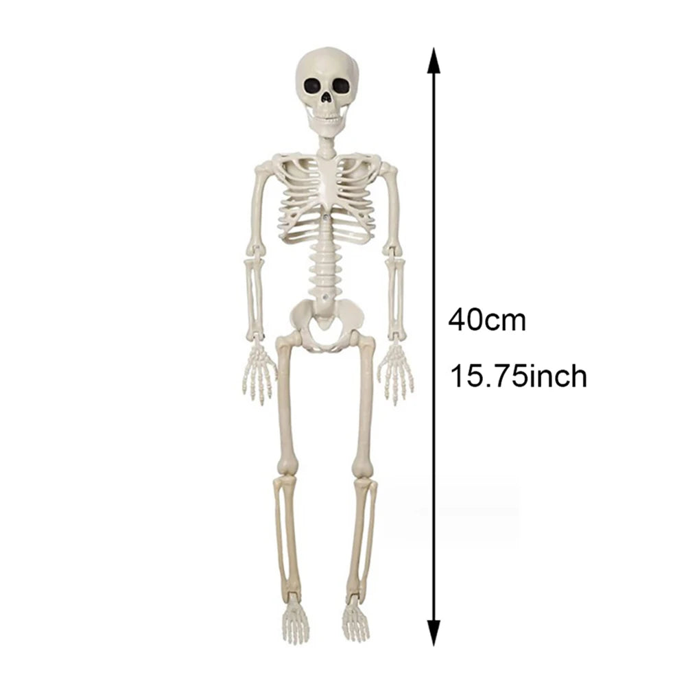 Halloween Decorations Skeleton,Posable Human Shape Skeleton,Halloween Fake Bone Horro alternate view