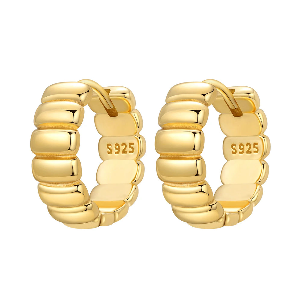 Orstarry S925 Sterling Silver 18k Gold Modern Square Earrings Hoop Earrings For Women Je detail view
