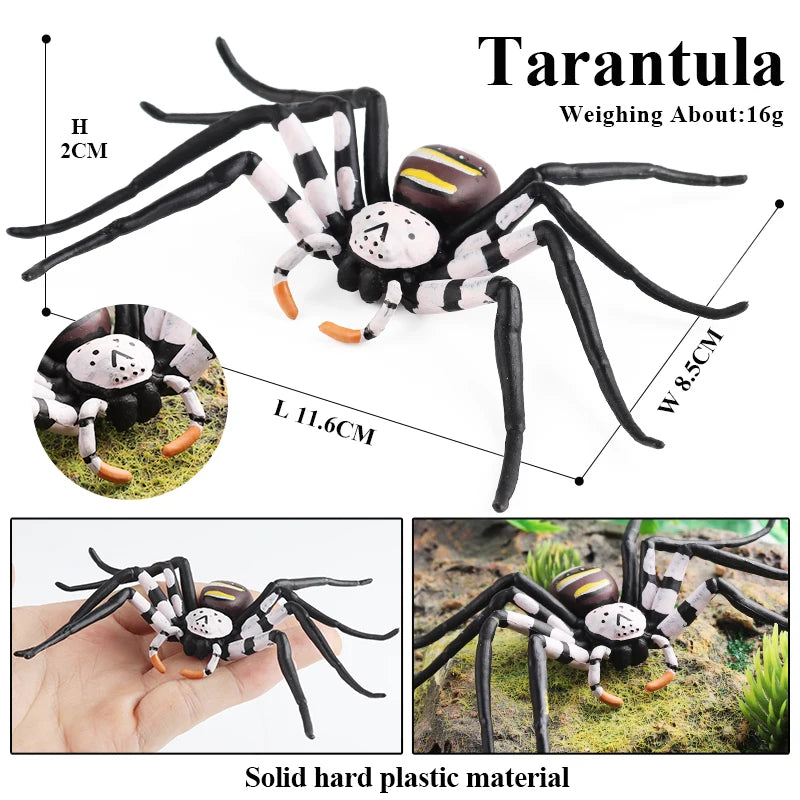 Oenux Insect Animals Model Spider Web Scorpion Bat Action Figures Figurine Miniature Cute Educational Kid Toy Halloween Gift