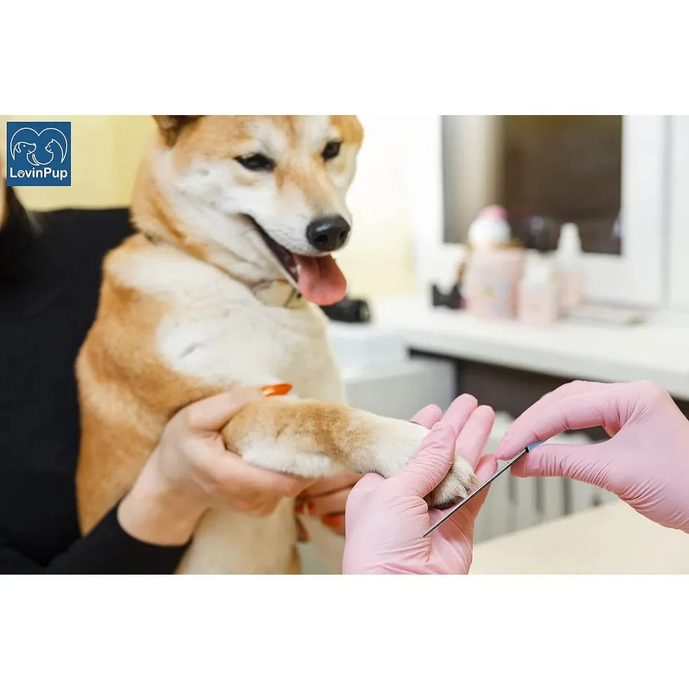 Dog Nail Filer,Nail Grooming Tool,Dog and Cat Nail Files,for Smoothing Rough Edges of Pe detail view