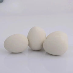 1 Pcs Novelty Bouncy Eggs Realistic Fake Rubber Bouncing BallsModel Farm Chicken Nesti close-up view