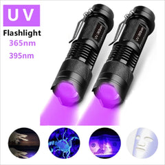 Portable UV Flashlight 365-395nm | Black Light Ultraviolet Torch for Pet Urine Detection