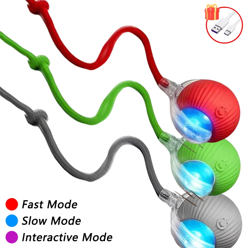 Self-Moving Automatic Cat Teaser Ball with Faux Tail Rechargeable Smart Sensor Cat To lifestyle view