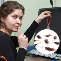 50Pcs Halloween Gadget Plastic Cockroaches Joke Decoration Props Rubber Toy Gags Plast close-up view