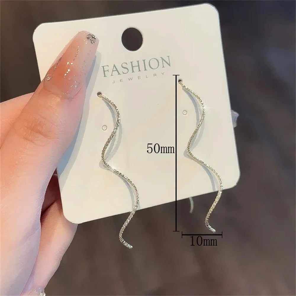 2Pcs Wave Fringe Tassel Earrings | Exquisite Long Style Stud Earrings for Women close-up view