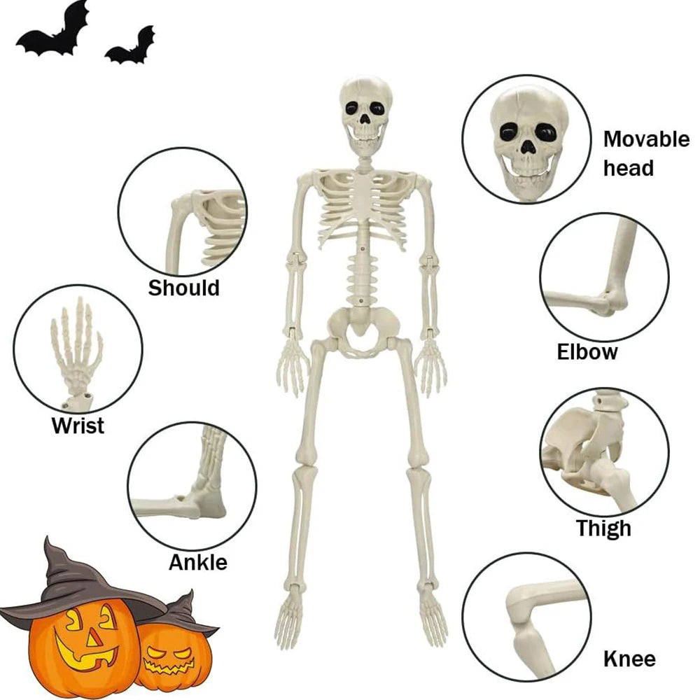 Halloween Decorations Skeleton,Posable Human Shape Skeleton,Halloween Fake Bone Horror D detail view