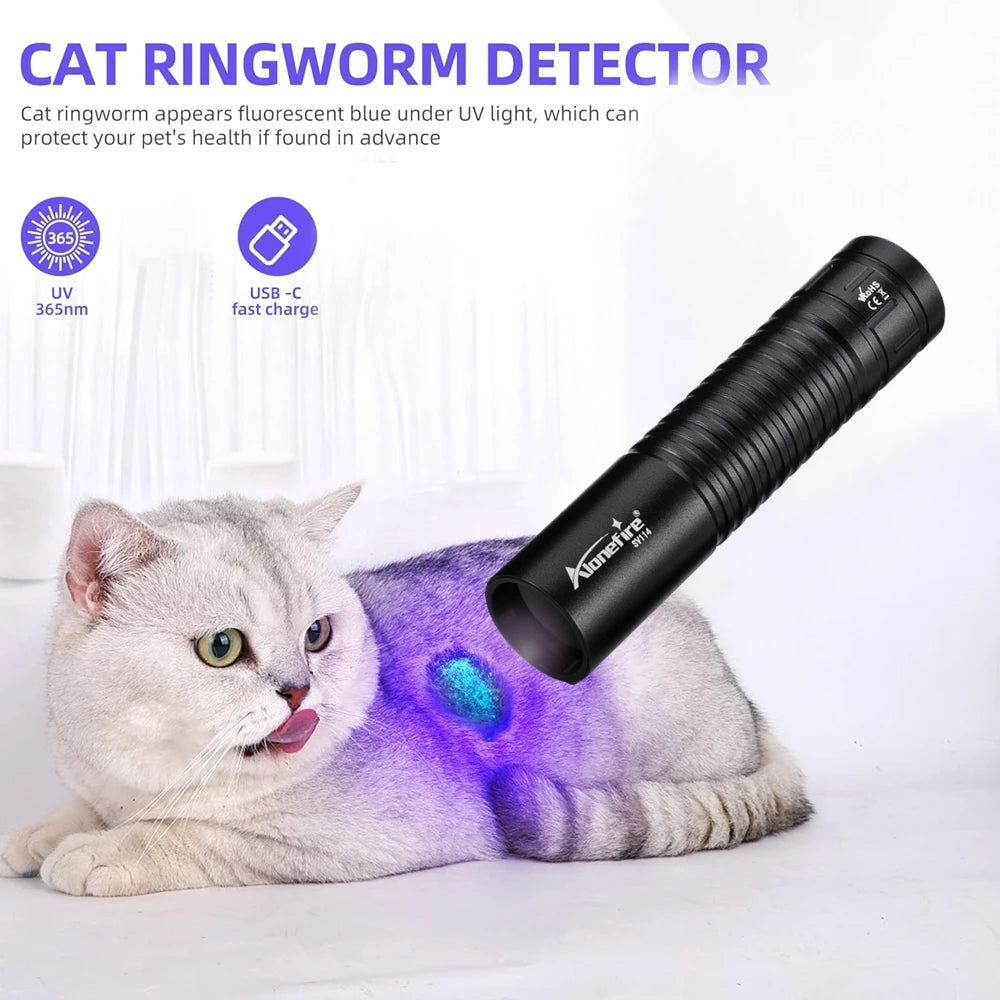 365/395nm UV Flashlight Rechargeable | Mini Ultraviolet Detection Light for Pets, Mone close-up view