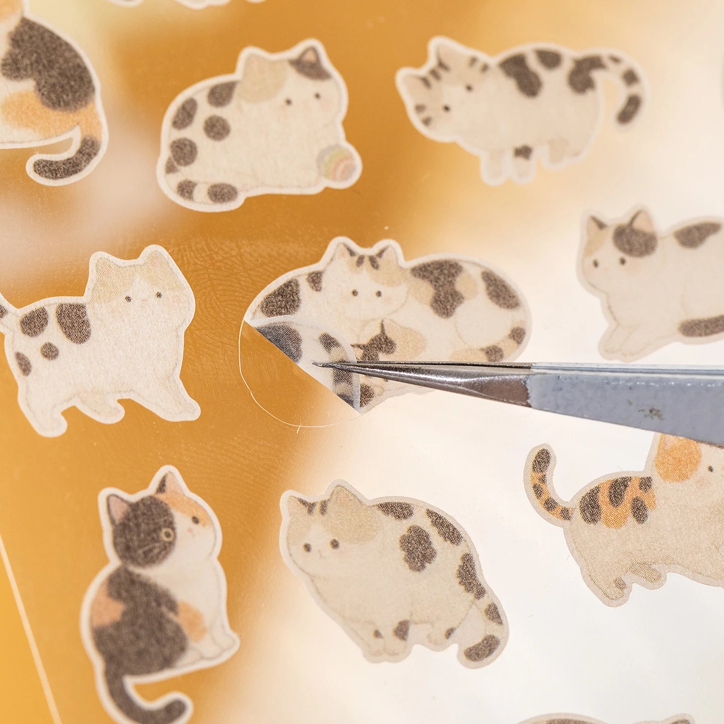 Mr. Paper 4-Pack Fluffy Meetup Stickers | Waterproof Washi Cute Cat Decals for Journal close-up view