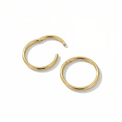 2/8PCS 18G 316L Stainless Steel Nose Ring Hoop Earrings for Women Men Septum Helix Tragus Ear Pierci