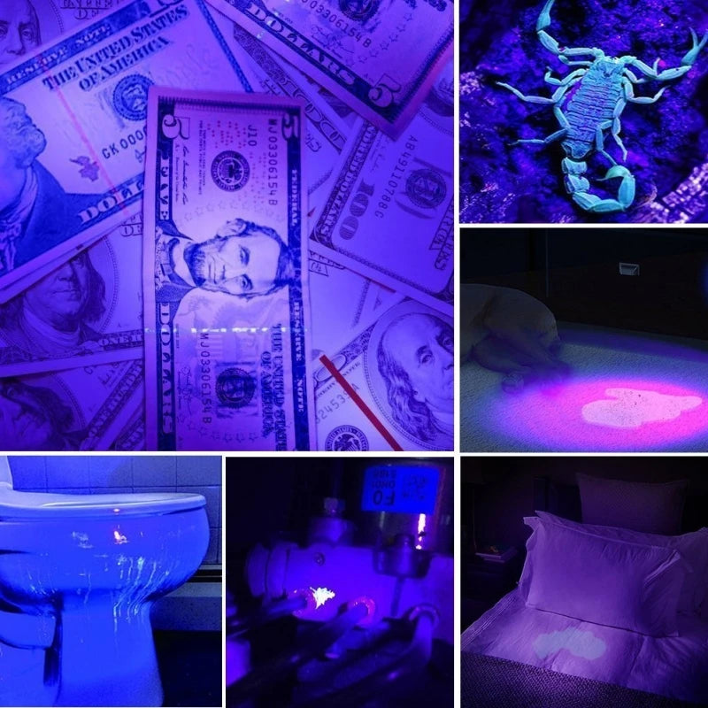 395nm UV Black Light Flashlight | Pet Urine Detector for Dog Stains and Bed Bugs additional angle