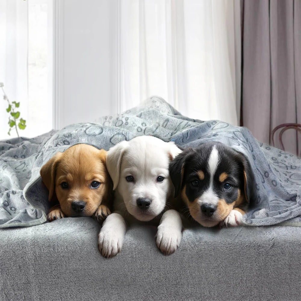 1pcs Ultra-Soft Paw Print Dog Blankets - Machine Washable, Cozy Pet Pillow Pads for I lifestyle view