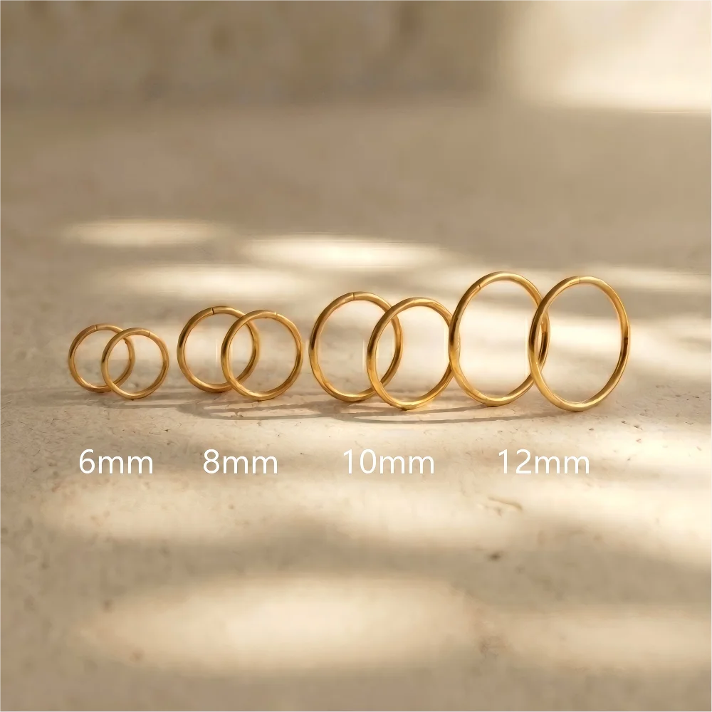 2/8PCS 18G 316L Stainless Steel Nose Ring Hoop Earrings for Women Men Septum Helix Tr lifestyle view