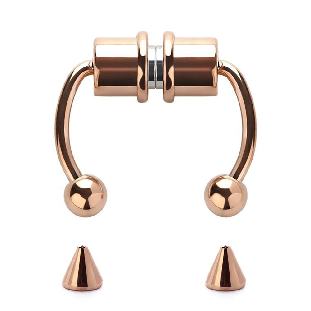 1/4Pcs Women Fake Piercing Nose Ring Hoop Septum Piercing Nose Clip Rock HipHoop Stai lifestyle view