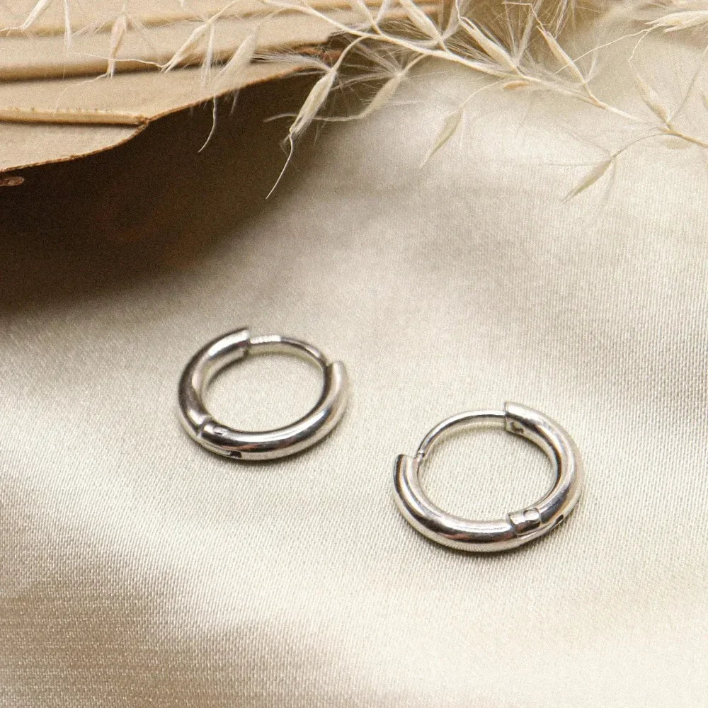 2.5mm Stainless Steel Hoop Earrings for Women Men Stackable Round Gold Color Hiphop S lifestyle view