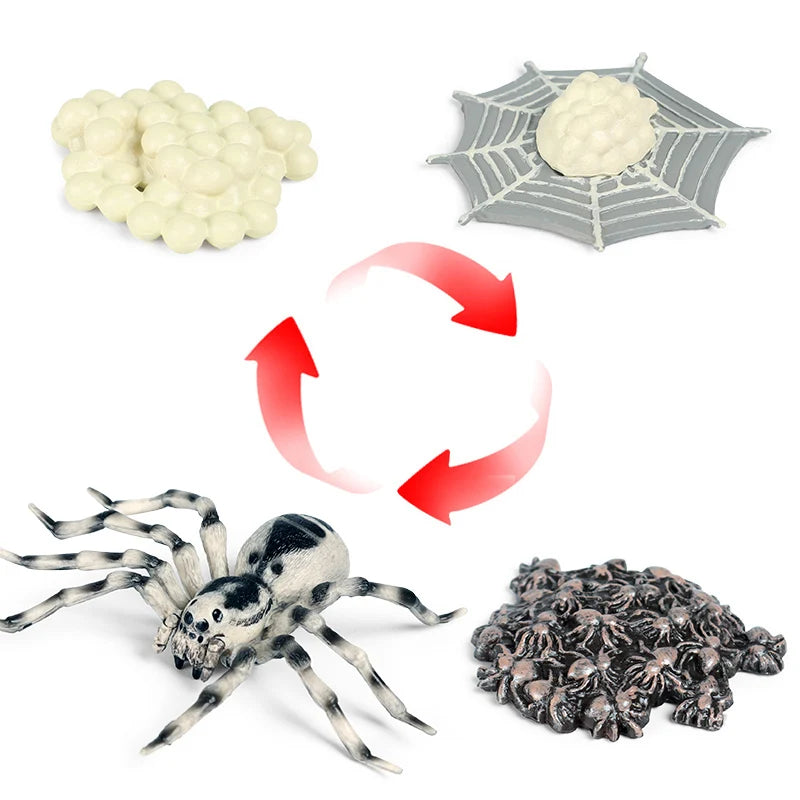 Oenux Insect Animals Model Spider Web Scorpion Bat Action Figures Figurine Miniature Cute Educational Kid Toy Halloween Gift