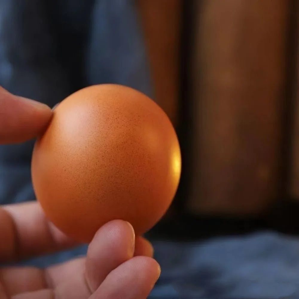 Shiba Inu Egg Squishy Toy | Stress Relief Slow Rebound Desk Decor alternate view